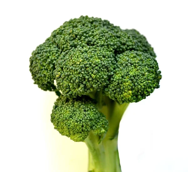 Couve brócolis saudável, crua e fresca, isolada sobre fundo branco — Fotografia de Stock