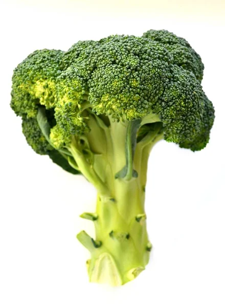 Surowe i świeże zdrowe Brokuły Kapusta na białym tle — Zdjęcie stockowe