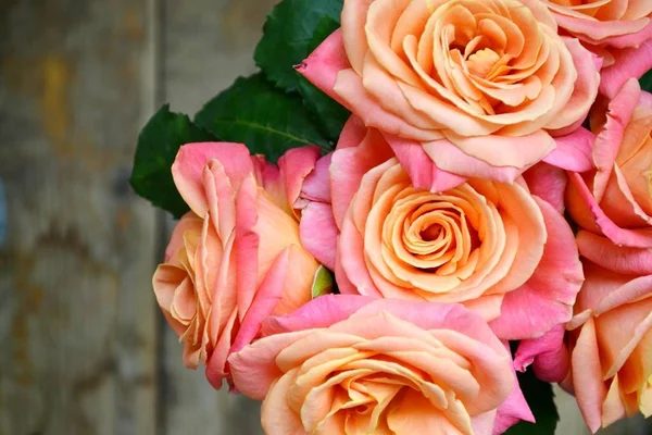 Dois anéis dourados de noivado em um lindo buquê de casamento de rosas rosa — Fotografia de Stock