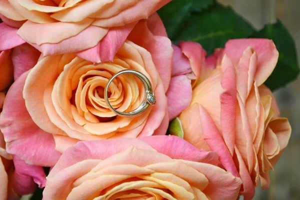 在粉红色的玫瑰花的美丽婚礼花束上的两个金色的订婚戒指。 — 图库照片