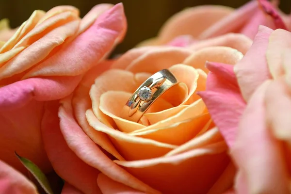 Two engagement golden rings on a beautiful wedding bouquet of pink roses — Stock Photo, Image