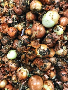 Çok sayıda farklı soğan bakkal