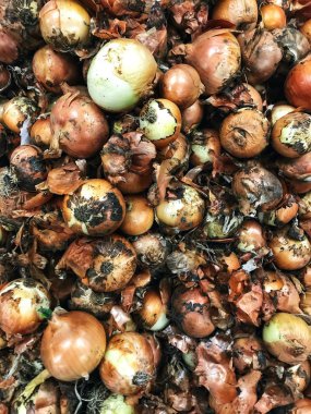 Çok sayıda farklı soğan bakkal