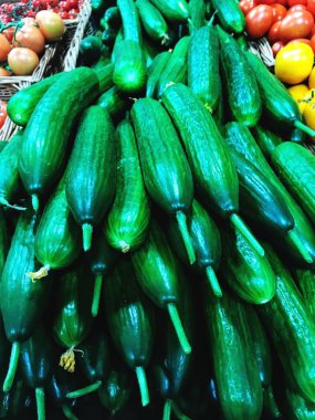 taze yeşil salatalık