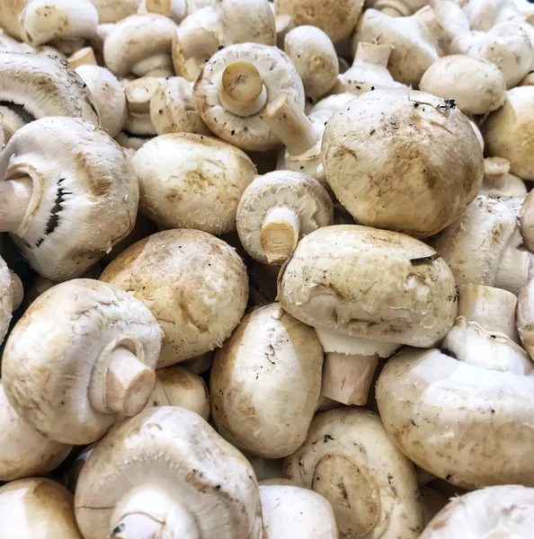 Raw white mushrooms champignons in a basket