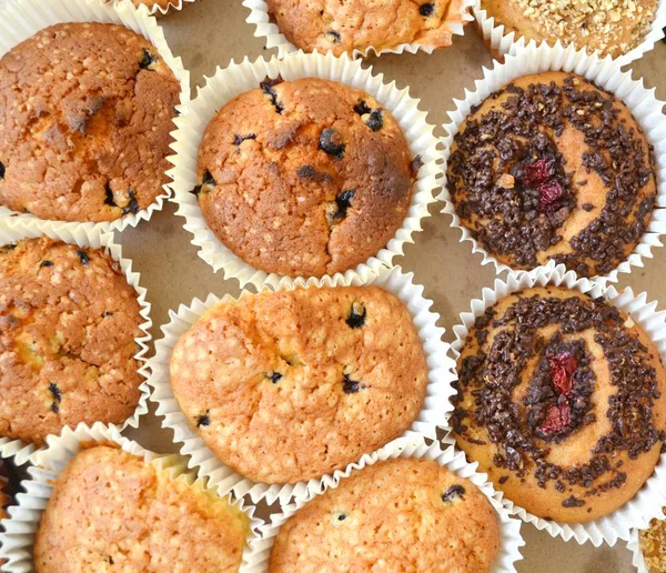 Veel heerlijke huisgemaakte muffins met bessen en chocolade — Stockfoto
