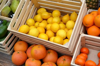 Narenciye mandalina, kumquats, portakal ve limon yerel çiftlik Market kümesi