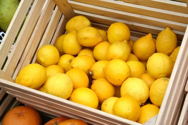 Set of citrus fruits from tangerines, kumquats, oranges and lemons at the local farm market — Stock Photo, Image
