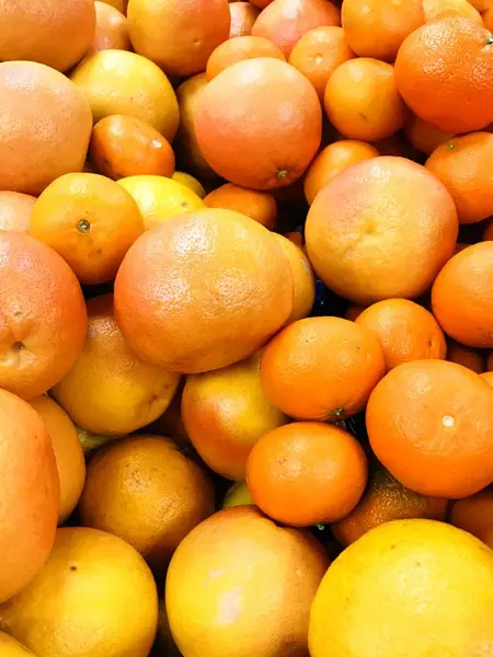 Conjunto de cítricos de mandarinas, naranjas y limones — Foto de Stock