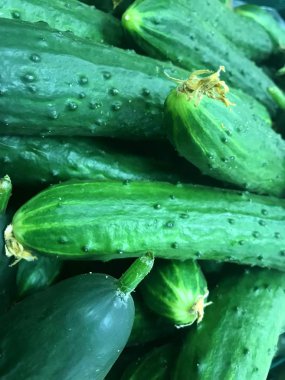 Markette taze yeşil organik salatalık