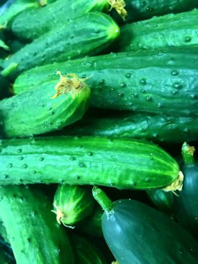 Markette taze yeşil organik salatalık