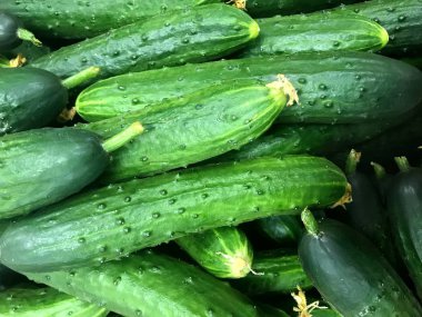 Markette taze yeşil organik salatalık