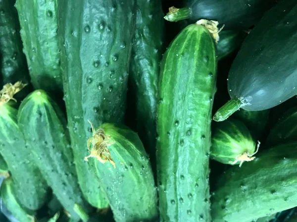 Świeże zielone ogórki ekologicznych na rynku — Zdjęcie stockowe