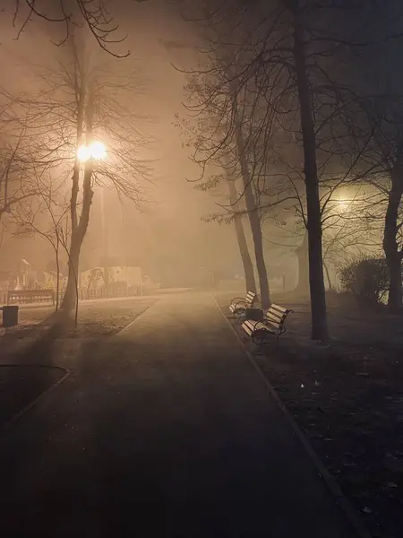 Schöner Blick Auf Den Stadtpark Bei Nacht Stockfoto