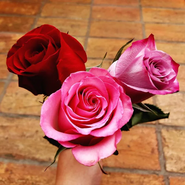 Mão Segurando Belo Buquê Rosas Vermelhas Rosa — Fotografia de Stock