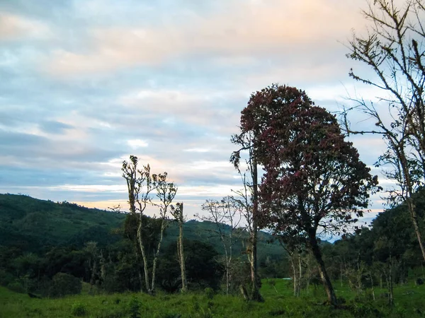Sonnenuntergang Amazonas Dschungel Peru — Stockfoto