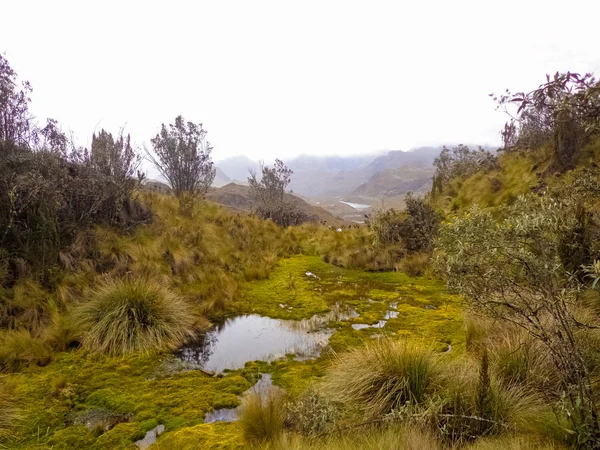 Vista Panorámica Del Parque Nacional Cajas — Foto de Stock