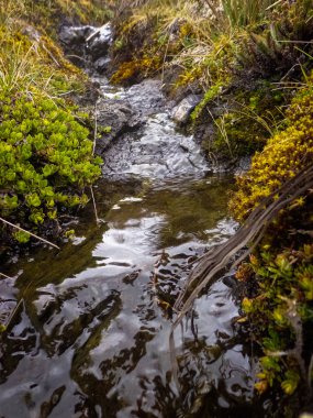 Kayaların arasına akan su