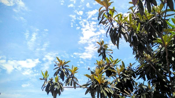 Natuur Lucht Wolken — Stockfoto