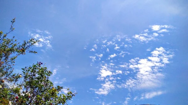 Naturaleza Cielo Nubes — Foto de Stock