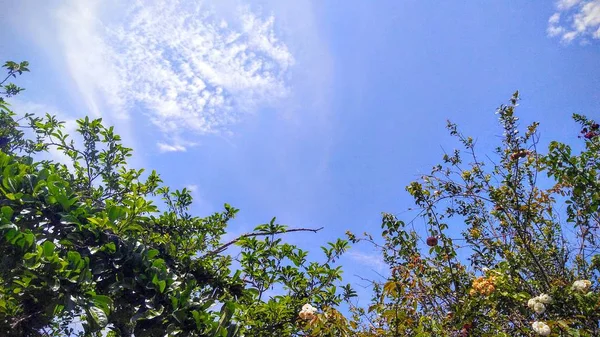 Nature Sky Clouds — Stock Photo, Image