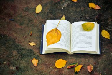 kitap / fotoğraf ile açık kitap.