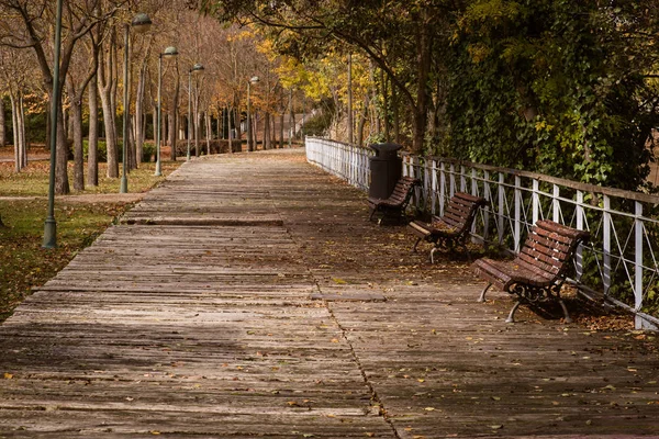 Lonely wooden bench surrounded by dry fallen leaves in a quiet park in an autumn afternoon — Stock Photo, Image