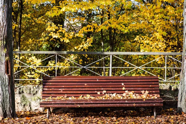 Banco de madera solitario rodeado de hojas secas caídas en un parque tranquilo en una tarde de otoño — Foto de Stock