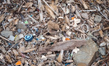 İspanya 'daki paradisaik plajlarda kurumuş deniz yosunlarıyla karışmış plastik kirliliği