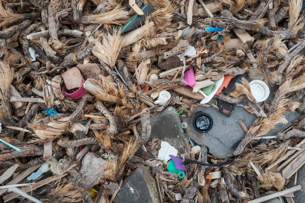 İspanya 'daki paradisaik plajlarda kurumuş deniz yosunlarıyla karışmış plastik kirliliği