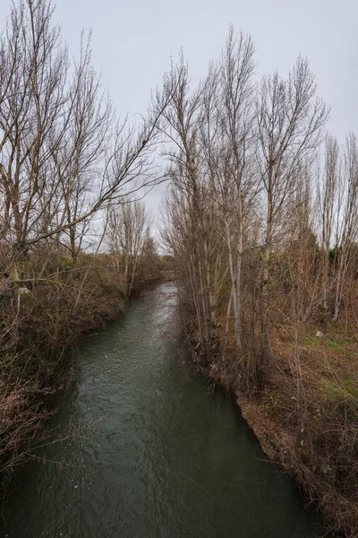 carrion river in winter, rio carrion, palencia, spain