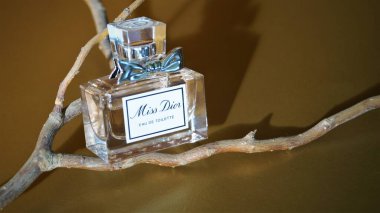 February 2020 Brest Belarus miniature eau de toilette miss dior in the original bottle with a bow among dry tree branches on a golden background clipart