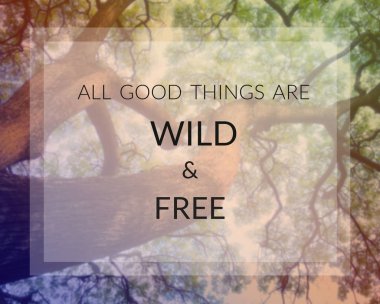 İlham alıntı olduğunu ve motivasyon arka plan