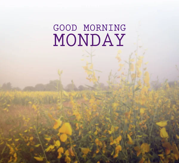 Inspirational Motivational Quote - Happy Monday. Start Today Right. with  Cup of Morning Coffee and Purple Flowers on White Table. Stock Image -  Image of light, happymonday: 214674595