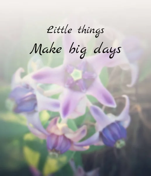Inspirational quote on blurred  flowers background — Stock Photo, Image