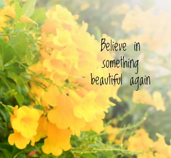 Inspirujący Cytat Niewyraźne Tło Kwiaty Wierzą Coś Pięknego Ponownie — Zdjęcie stockowe