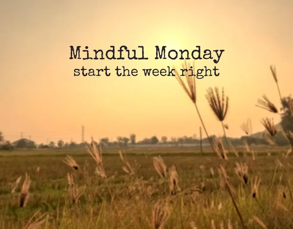 Inspirational Quote Motivational Background Mindful Monday Start Week Right — стоковое фото