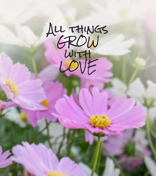 Inspirational quote on blurred  flowers background...all things grow with love