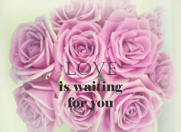 Inspirational Quote Blurred Flower Background Love Waiting You — стоковое фото