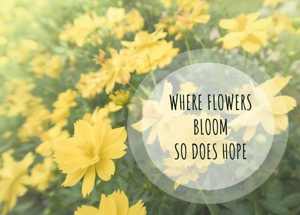 Inspirational quote on blurred flower background....where flowers bloom so does hope