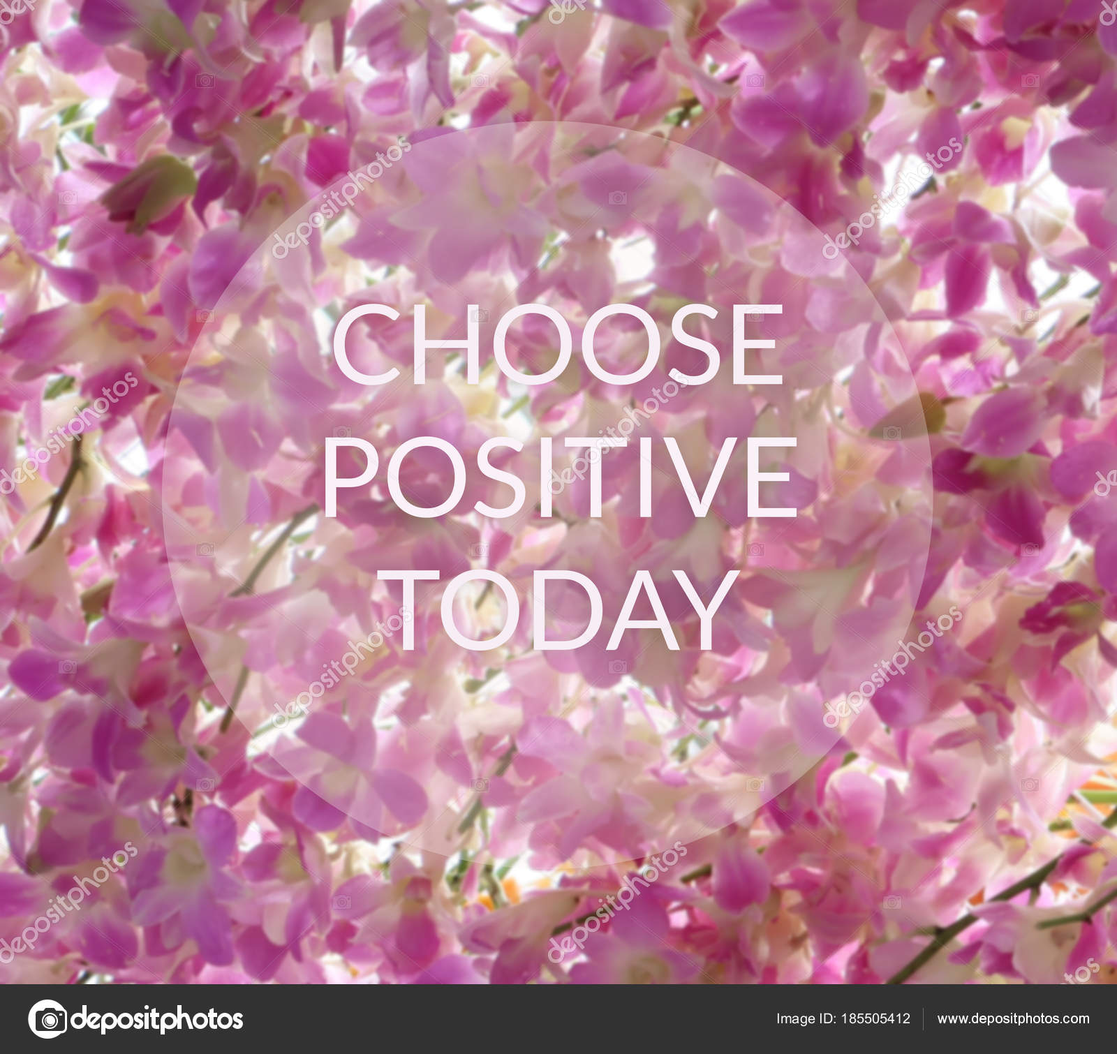 Inspirational Orchid Flower Quotes