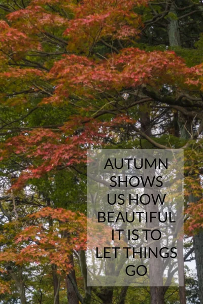 Inspirujące Motywujące Cytat Niewyraźne Ogród Tło Jesień Pokazuje Nam Jak — Zdjęcie stockowe