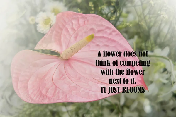 花の背景にインスピレーションとモチベーションの引用 — ストック写真