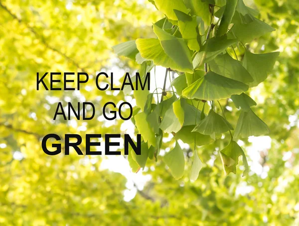 Вдохновляющая и мотивационная цитата на фоне размытых листьев — стоковое фото