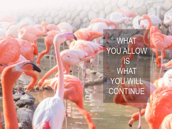 Inspiration quote on blurred background — Stock Photo, Image