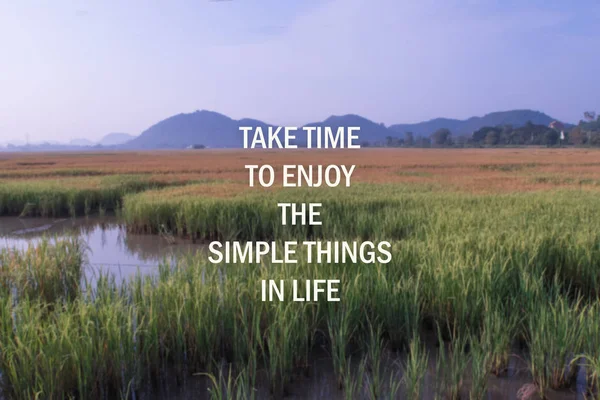 Inspirational and motivational quote on blurred rice field background