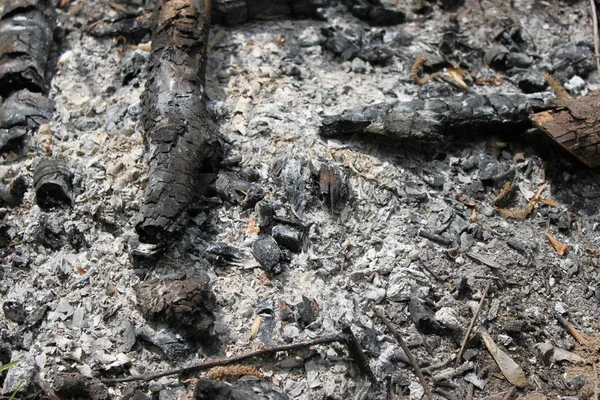 Konsistensen på askan kvar efter branden, bakgrund — Stockfoto