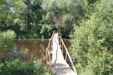 Polissya 'da küçük bir nehir üzerinde köprü