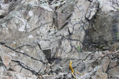 Taşların dokusu, kaya dokusu, taşların arka planı