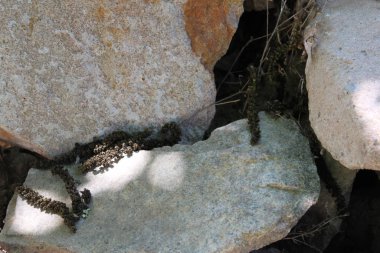 Büyük taşlar, yakın çekim dokusu, arkaplan